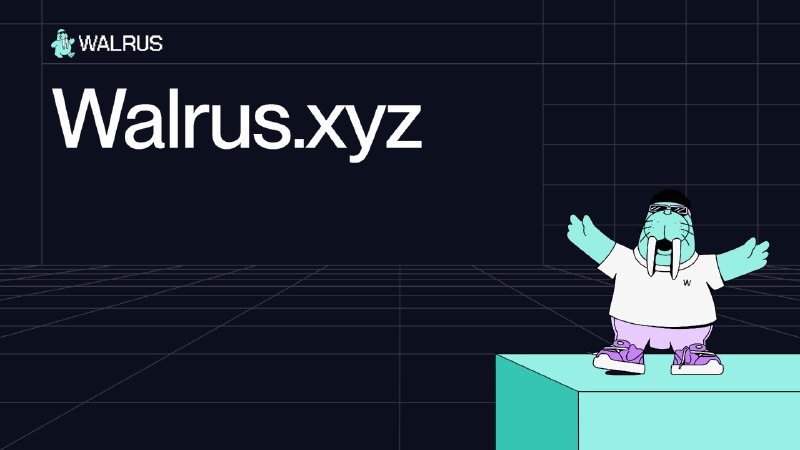 Walrus | Do more with your data