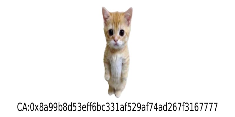 GitHub - tukuaiai/tradecat-public: 交易猫数据系统