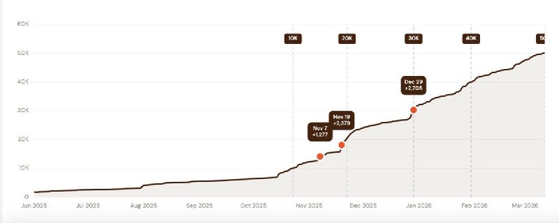 How I grew 50k followers on X in 9 months (while being myself)