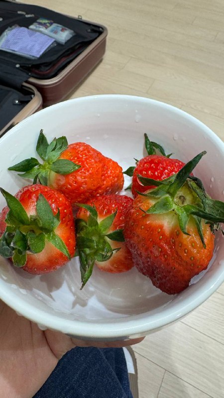 釜山 Day1釜山 Day1